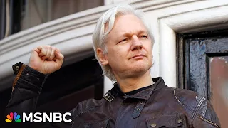 Investigative journalist on Julian Assange trial: 'Many of us in the press are ambivalent'