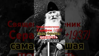 Дороже ничего нет