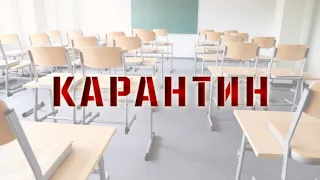 чем киара и кову делали на картинке 🦁