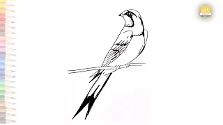 Swallow bird DRAWING 2 | How to draw A Swallow bird step by step | Birds drawing tutorials