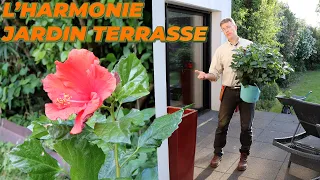 COMMENT HARMONISER LE JARDIN ET LA TERRASSE - Que Faire Dans Mon Jardin ? Semaine 18