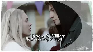 ◆ Noora & William | Любовь никогда не умрет [4×08]