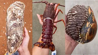 Catching Seafood 🦐🦀 Deep Sea Octopus (Catch Crab, Catch Fish) - #18