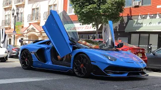 Best of Lamborghini Aventador Sounds! SVJ Gintani, SV Roadster, & More!