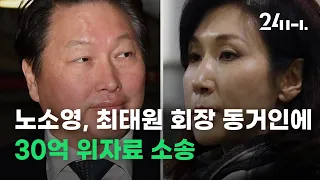 노소영, 최태원 회장 동거인에 30억 위자료 소송