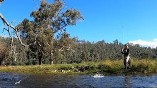 Late Season Trout Fishing | Steavenson River | Fly Fishing