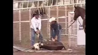 HORSE MEAT - NOW Legal in USA (Houston TX RODEO Livestock - Factory Farms) Show Animal Abuse Protest