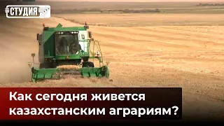 Семена и удобрения дорожают: как будут справляться казахстанские аграрии?