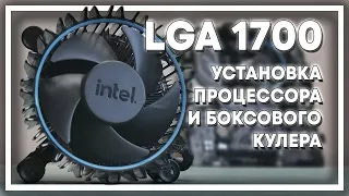 Установка боксового кулера и процессора в разъем LGA1700. Как установить?
