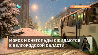 Мороз и снегопады ожидаются в Белгородской области