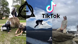 Therian and Quadrobics TikToks || Compilation 🐾🍂 || Alterhumans of TikTok #25