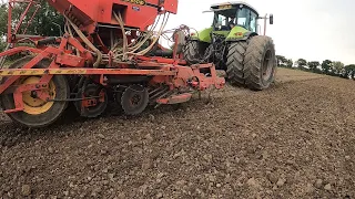 Sowing Barley , Swimming Pigs