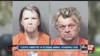 Siblings living in Citrus County are accused of animal neglect; cats found living in squalor