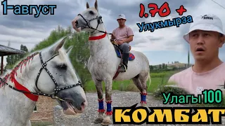 миң АТТЫН ортосунда КОМБАТ турат 😱😱😱Улукмырзада топ кечер ат