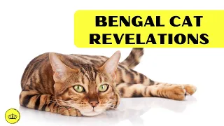 BENGAL CAT: Unveiling the Enchanting Wild Beauty