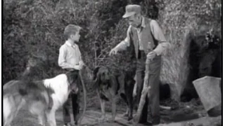 Lassie - Episode #284 - "The Vindication of Relentless" - Season 8 Ep.29  - 04/01/1962