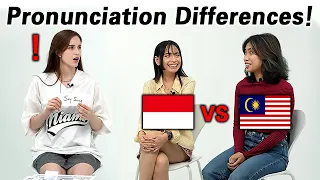 Malaysia vs Indonesia Languages |  Do They Use Same Words? Pronunciation Differences!!