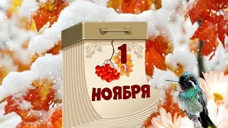 ПРИВЕТ, НОЯБРЬ!  СЧАСТЛИВОГО НОЯБРЯ, ДРУЗЬЯ!