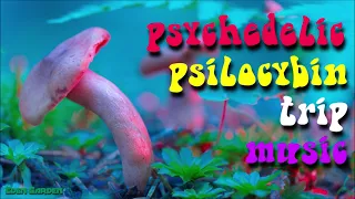 Psychedelic Psilocybin Trip Music