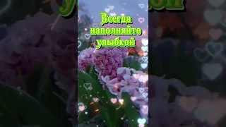 Солнечного настроения!