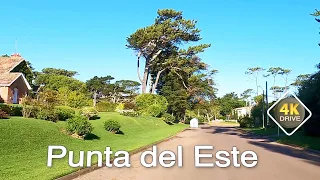 4K DRIVE Punta del Este URUGUAY 4k video Houses & Gardens