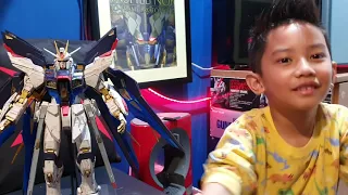 Perfect Grade Strike Freedom - Review