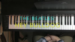 Hey Bulldog (The Beatles) ~ Piano Tutorial