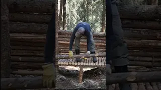 Building A Bushcraft Log Cabin Shelter #shorts