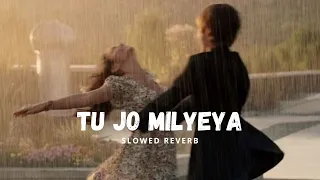 Tu jo milyeya(slowed & reverb)ci|news song|viral song|romantic song|slowed & reverb