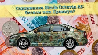 Во сколько обходится содержание Skoda Octavia A5?