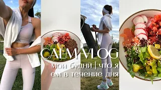 CALM VLOG: Daily routine | что я ем в течение дня | мои будни