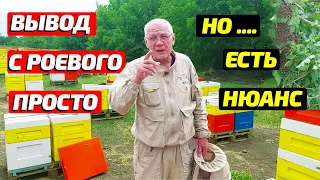 Борьба с роением пчел Один простой способ с нюансами