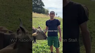 Shorts | Familie Altdorfer, Bertschikon | Wieso nur 12 Kühe? | Bim Milchbuur | Swissmilk (2022)