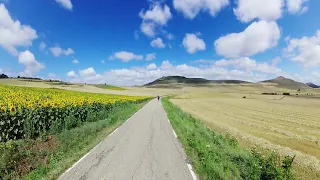 Camino de Santiago Viloria de Rioja Sunflower Fields Camino Frances