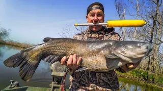 These GIANT Catfish Attacked our JUG Lines. ( Catch, Clean, Cook )