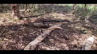 The Husky Axe, Browning Axe, and Greenworks Cordless Chainsaw - Bushcraft