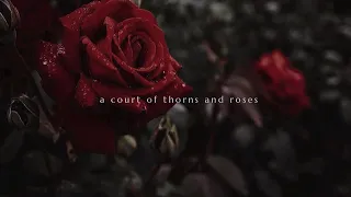 falling into a court of thorns and roses world