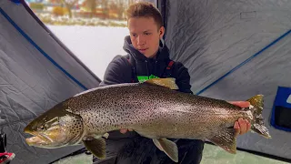 Jigging for GIANT BROWN TROUT in Milwaukee Harbor!