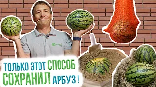 Как сохранить арбуз? 3 простых способа хранения арбуза в домашних условиях. Итоги эксперимента