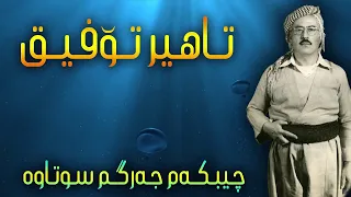 تاهیر تۆفیق   Tahir Tofiq   Chibkam Jargm Sutawa  چیبکه‌م جه‌رگم سوتاوه‌