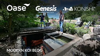 Modern Koi Blog #5531 - Pablos' Endlosbandfilter mit zu kleiner Biologie