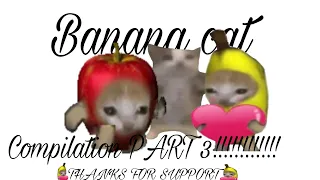 banana cat compilacion ( compilation) (банановый кот)