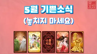 [타로/타로점]5월 기쁜 소식!!!!!!