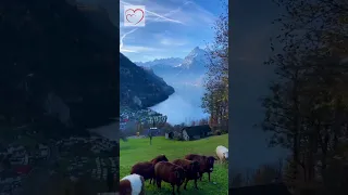 Beautiful Sisikon, Switzerland