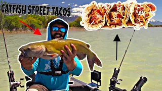 TASTY Catfish Street Tacos Cooked On The Beach!! (Catch clean cook)