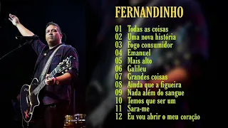 FERNANDINHO