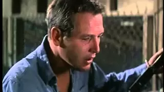 Paul Newman - Plastic Jesus (Cool Hand Luke OST)