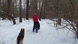 Электрофэтбайк катаемся по лесу electro fatbike