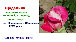 Щоденник важливих справ на городі, в садочку, на квітнику 11-12 вересня 2023 року