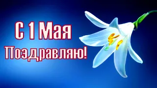 Поздравляю с 1 мая!